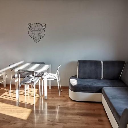 Appartement Apartament Przy Papierni à Duszniki Zdrój Extérieur photo