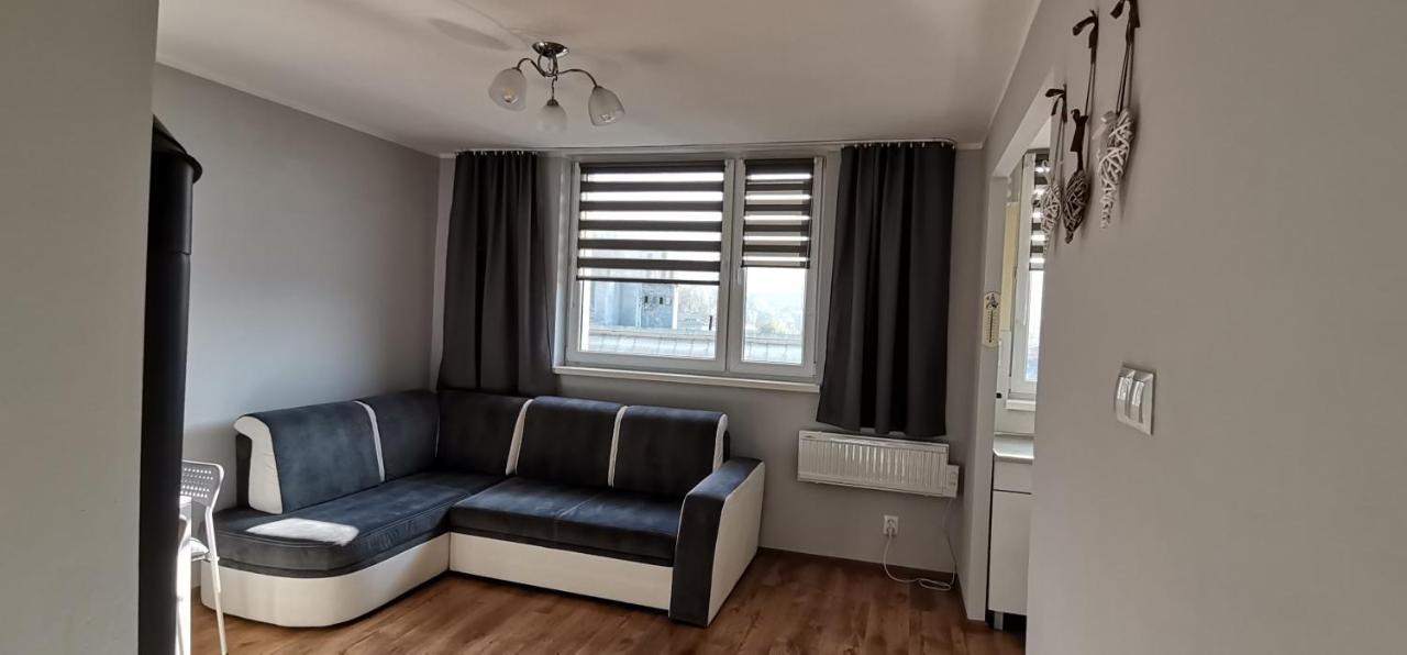 Appartement Apartament Przy Papierni à Duszniki Zdrój Extérieur photo